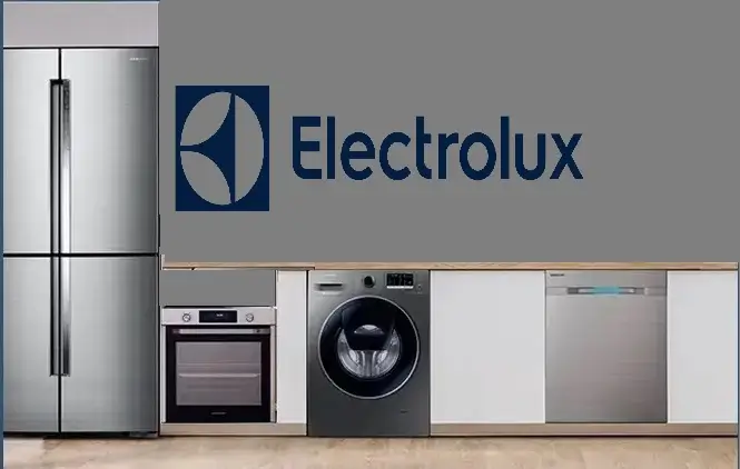 Kağıthane Electrolux servisi