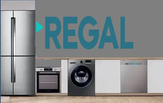 Kağıthane Regal servisi